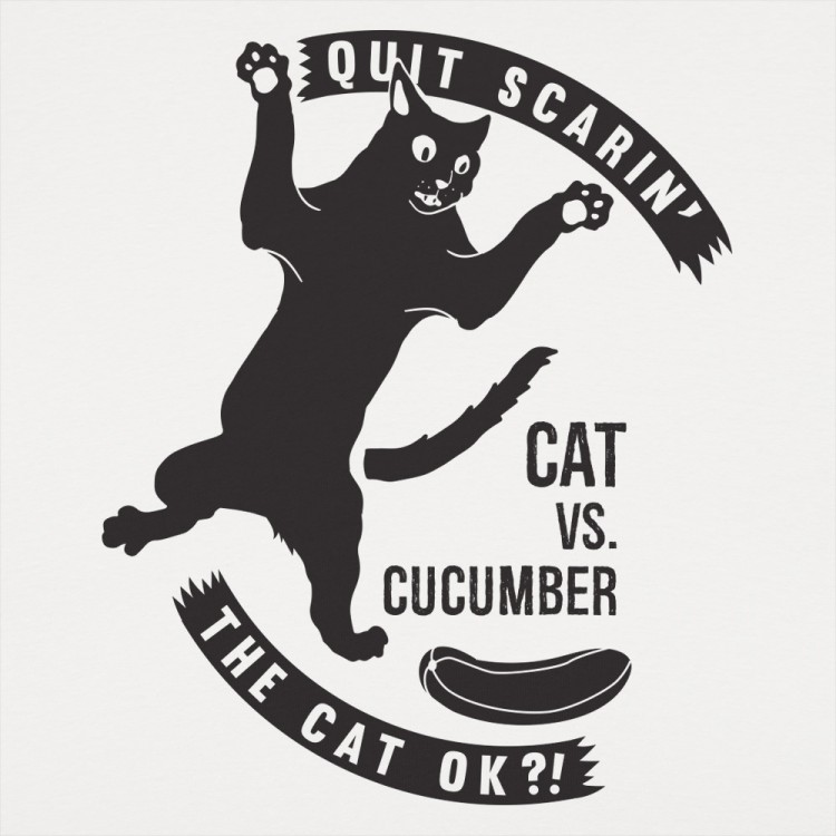 Cat Versus Cucumber