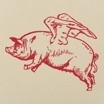 flying pig shirt