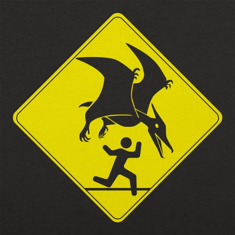 Pterosaur Warning 