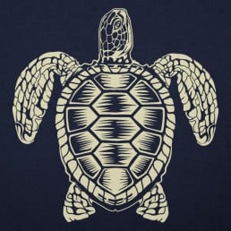 Sea Turtle Spirit