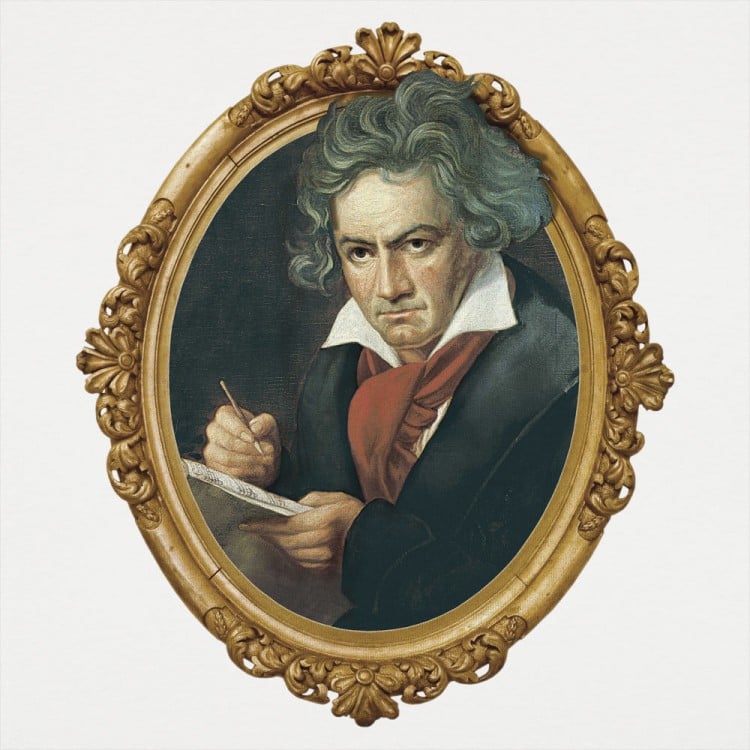 Beethoven Framed Graphic 