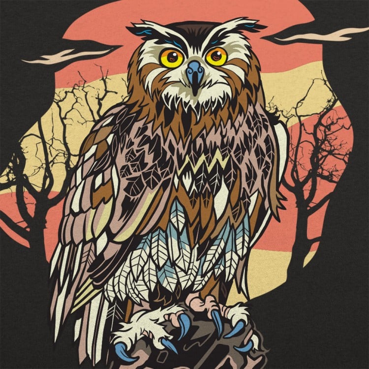 Sundown Owl
