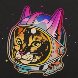 Astro Cat Graphic