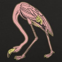 Audubon Flamingo