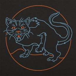 Black Cat
