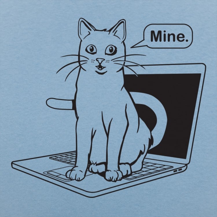 Cat Conquers Laptop