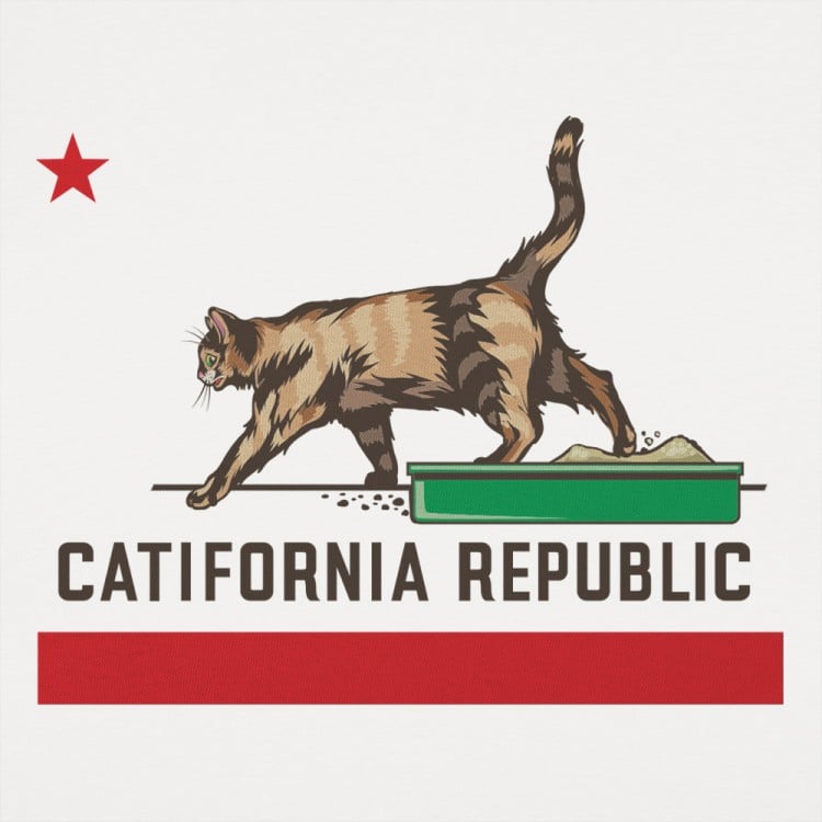 Catifornia Republic Graphic