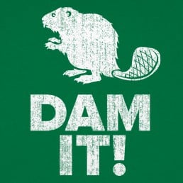 Dam It Beaver!