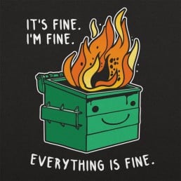 Everything is Fine Graphic