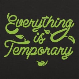 Everything Is Temporary 
