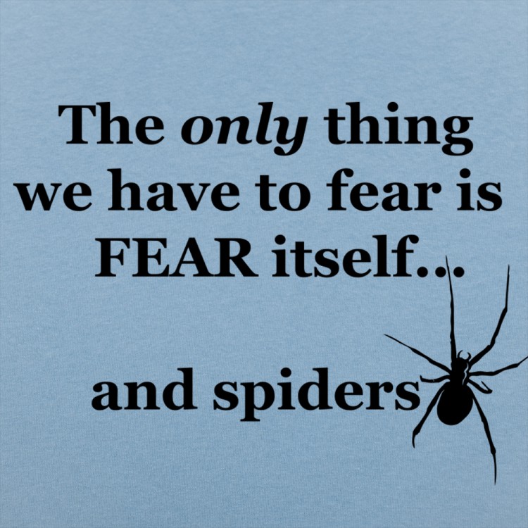 Fear And Spiders