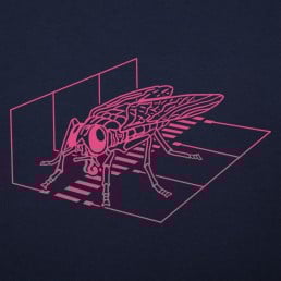 Fly Scan