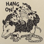 Hang On!