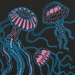 Jellyfish Trio