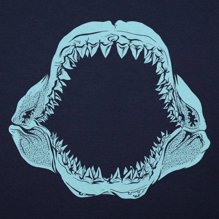 Mouth Of The Megalodon