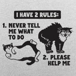 My 2 Rules