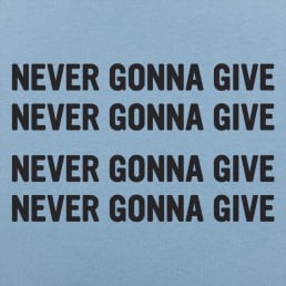 Never Gonna Give 