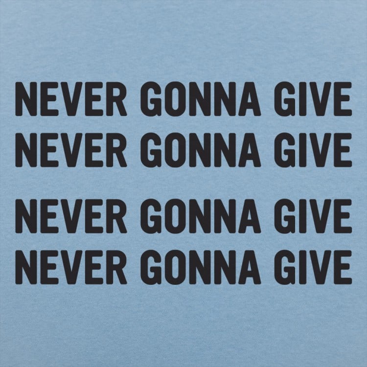Never Gonna Give 