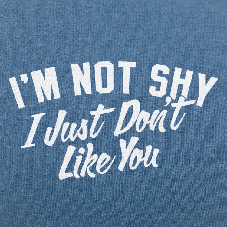 Not Shy Don't Like You
