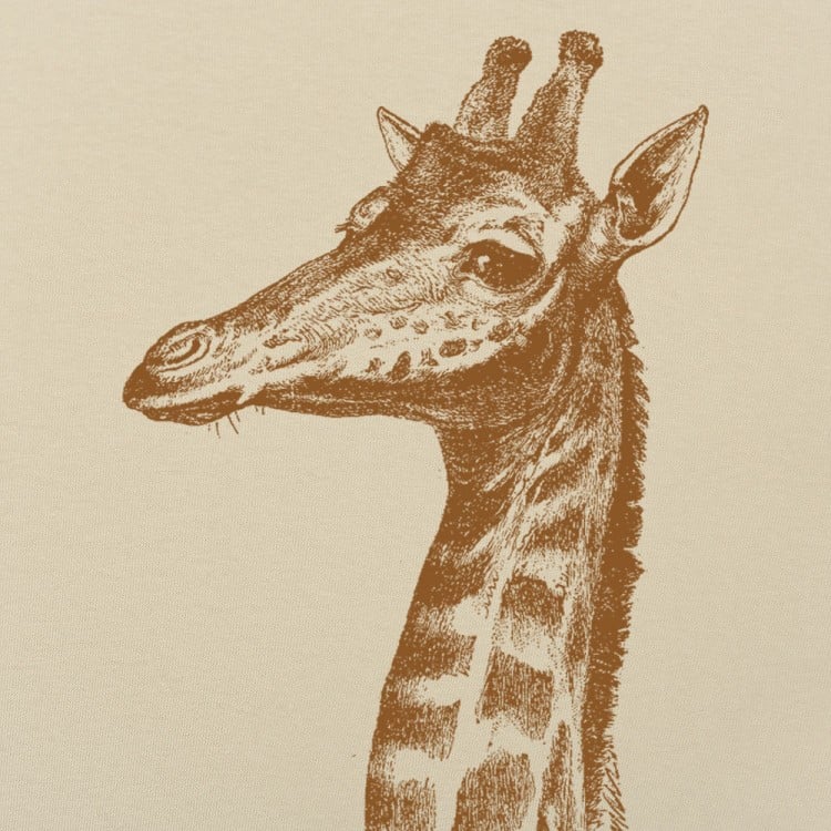 Placid Giraffe