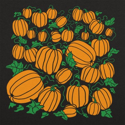 Pumpkin Patch Size Chart