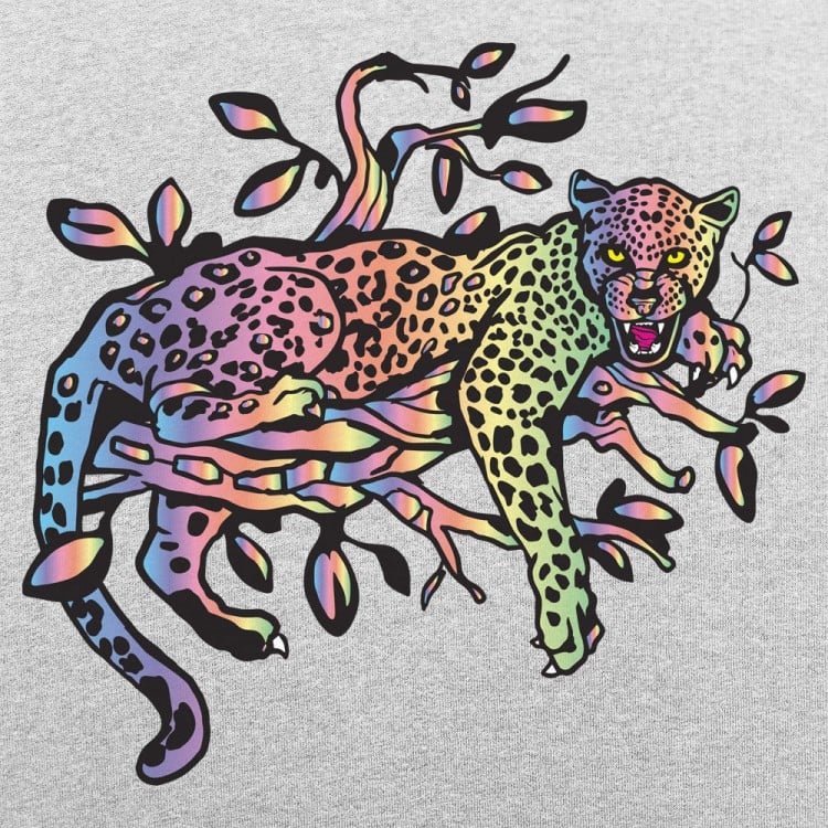Rainbow Leopard Graphic