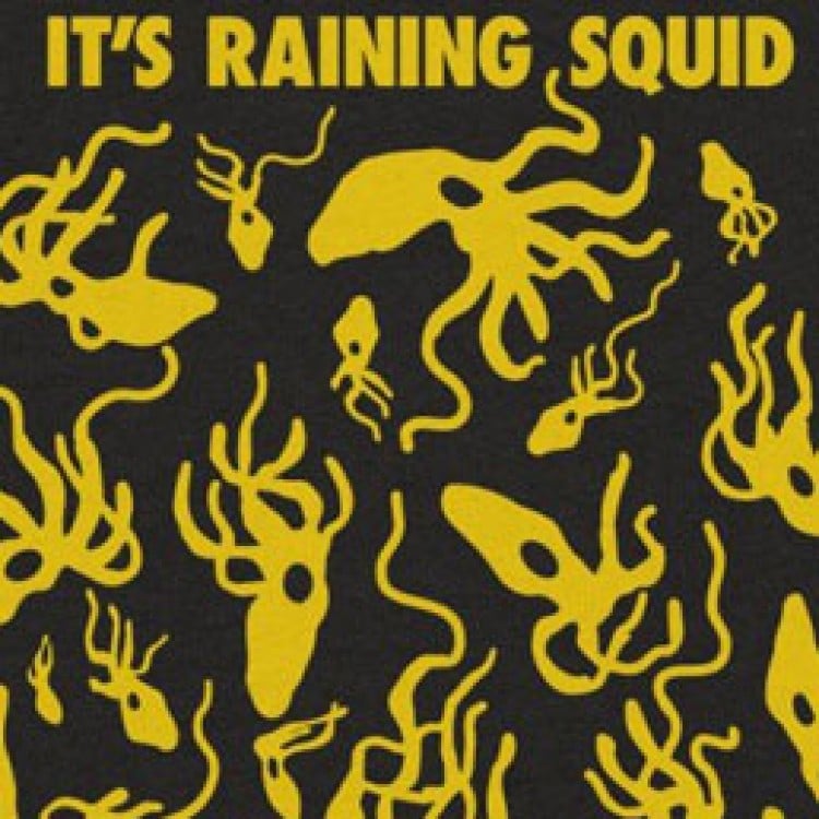 It's Raining Squid