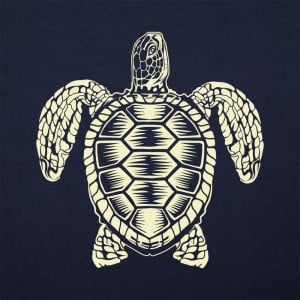Sea Turtle Spirit