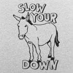 Slow Your Ass Down