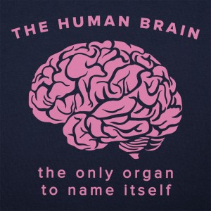 The Human Brain