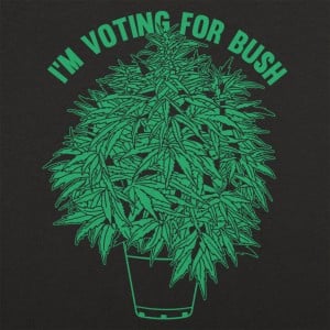 Voting For Bush