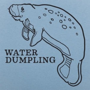 Water Dumpling
