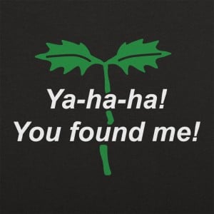 You Found Me!