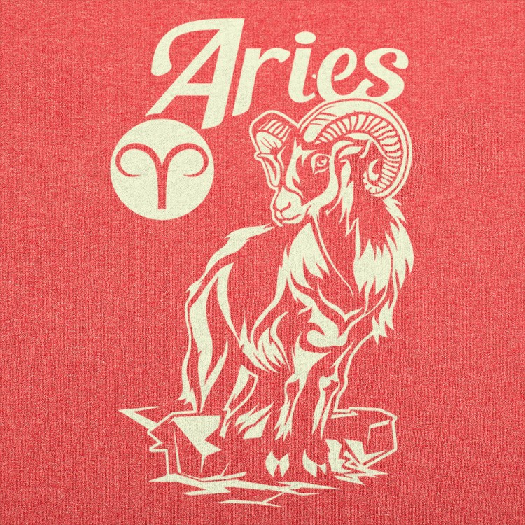 aries zodiac t shirt