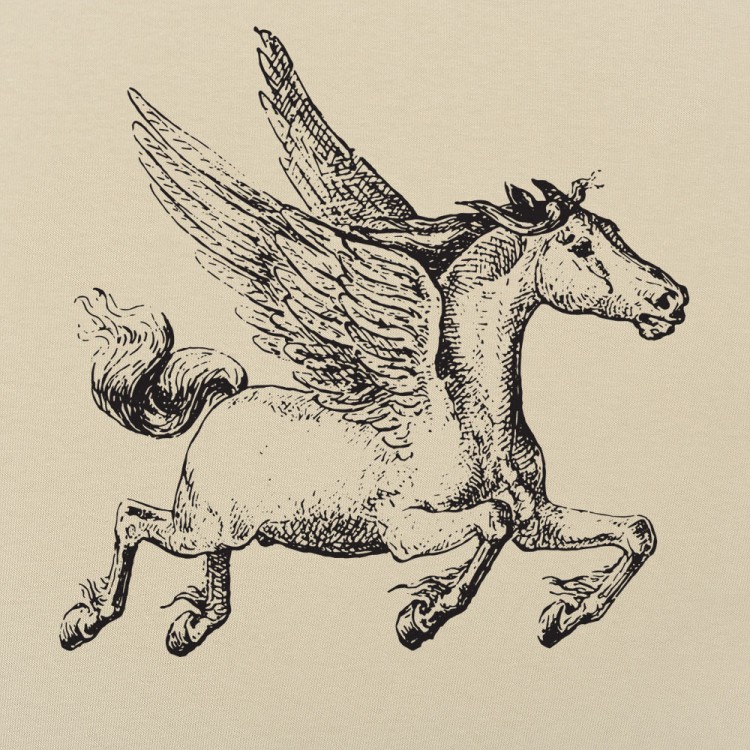 Pegasus T-Shirt | 6 Dollar Shirts