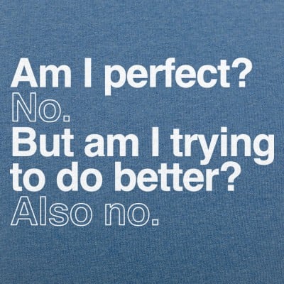 Am I Perfect T-Shirt | 6 Dollar Shirts