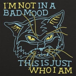 Bad Mood Cat