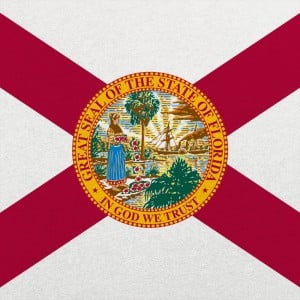 Florida Flag Graphic