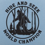 Hide and Seek Champ