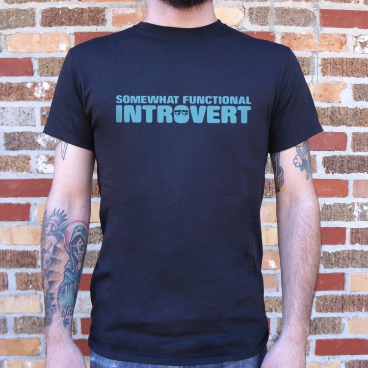 Functional Introvert