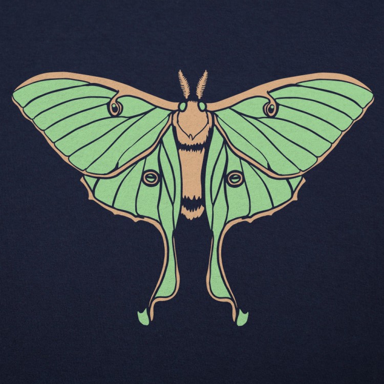 Moth перевод. Ben Staley Luna Moth. Лиза Moth. Matsui the Moth Стивен. Tapestries Luna Moth.