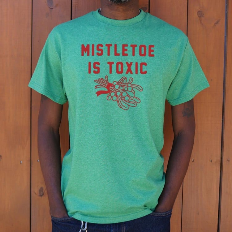 mistletoe and margaritas shirt