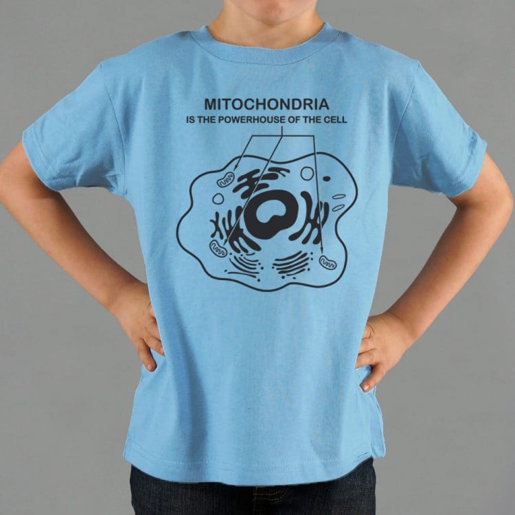 mitochondria is the powerhouse of the cell t shirt