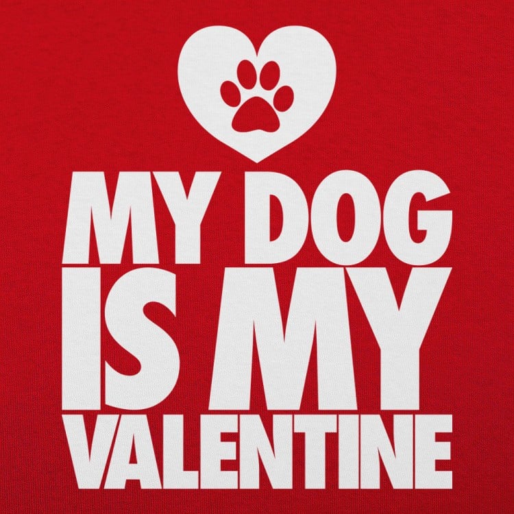 My Dog Is My Valentine T-Shirt | 6 Dollar Shirts