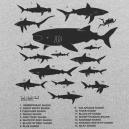 Shark Tees | 6 Dollar Shirts