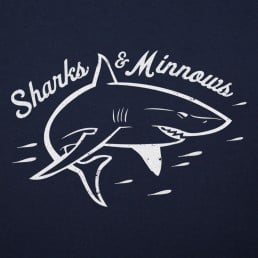 Sharks And Minnows