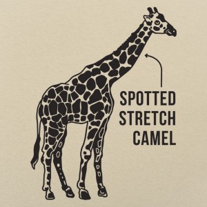 Spotted Stretch Camel