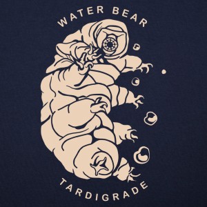 Water Bear