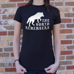 the north remembers shirt meaning